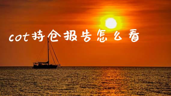 cot持仓报告怎么看_https://wap.fcdydaikuan.com_新股数据_第1张