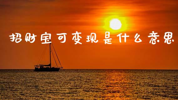 招财宝可变现是什么意思_https://wap.fcdydaikuan.com_国际投资_第1张
