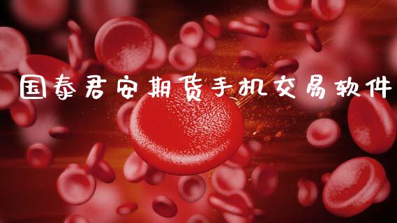 国泰君安期货手机交易软件_https://wap.fcdydaikuan.com_国际投资_第1张