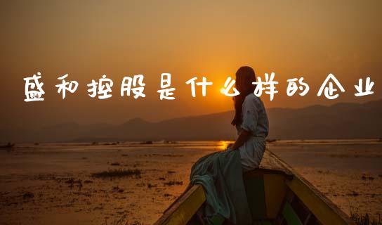 盛和控股是什么样的企业_https://wap.fcdydaikuan.com_理财顾问_第1张