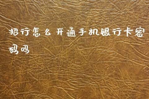 招行怎么开通手机银行卡密码吗_https://wap.fcdydaikuan.com_理财顾问_第1张