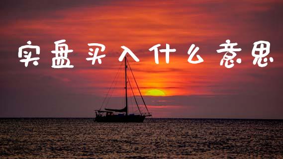 实盘买入什么意思_https://wap.fcdydaikuan.com_国际投资_第1张