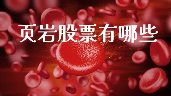 页岩股票有哪些_https://wap.fcdydaikuan.com_期货品种_第1张