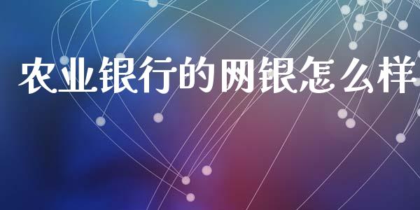 农业银行的网银怎么样_https://wap.fcdydaikuan.com_新股数据_第1张