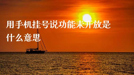 用手机挂号说功能未开放是什么意思_https://wap.fcdydaikuan.com_金融机构_第1张