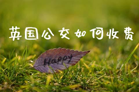 英国公交如何收费_https://wap.fcdydaikuan.com_期货品种_第1张