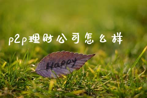p2p理财公司怎么样_https://wap.fcdydaikuan.com_投资策略_第1张