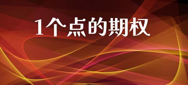 1个点的期权_https://wap.fcdydaikuan.com_投资策略_第1张
