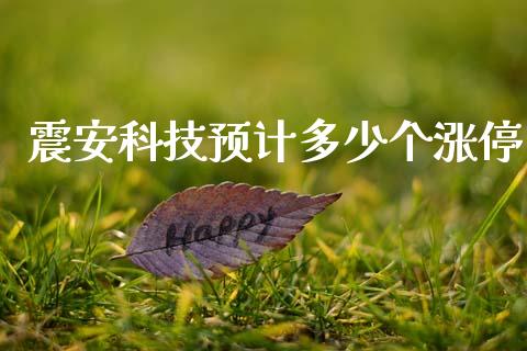 震安科技预计多少个涨停_https://wap.fcdydaikuan.com_期货品种_第1张