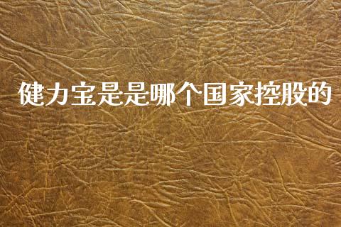 健力宝是是哪个国家控股的_https://wap.fcdydaikuan.com_理财顾问_第1张