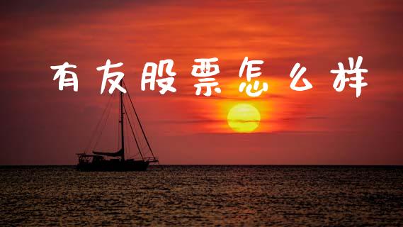 有友股票怎么样_https://wap.fcdydaikuan.com_金融机构_第1张
