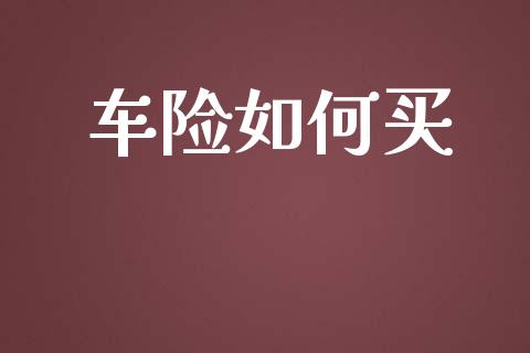 车险如何买_https://wap.fcdydaikuan.com_金融机构_第1张
