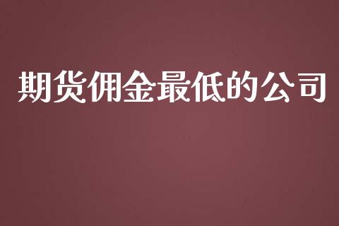 期货佣金最低的公司_https://wap.fcdydaikuan.com_期货品种_第1张