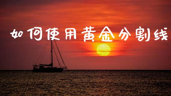 如何使用黄金分割线_新股数据_第1张_国际投资_理财顾问_投资策略_金融机构 如何使用黄金分割线_https://wap.fcdydaikuan.com_新股数据_第1张