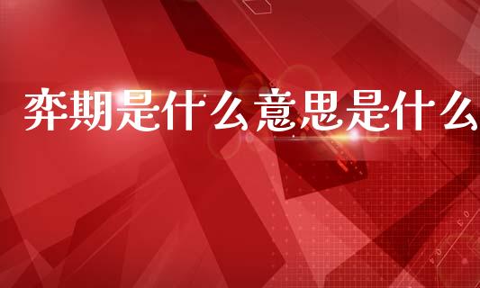 弈期是什么意思是什么_https://wap.fcdydaikuan.com_金融机构_第1张