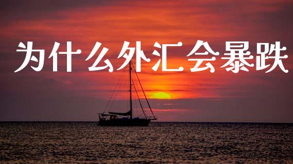 为什么外汇会暴跌_https://wap.fcdydaikuan.com_金融机构_第1张