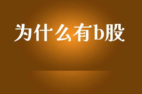 为什么有b股_https://wap.fcdydaikuan.com_新股数据_第1张