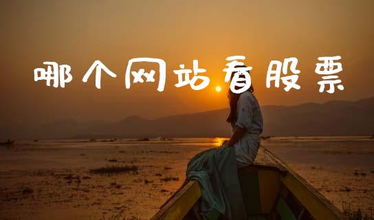 哪个网站看股票_https://wap.fcdydaikuan.com_金融机构_第1张