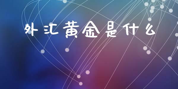 外汇黄金是什么_https://wap.fcdydaikuan.com_金融机构_第1张