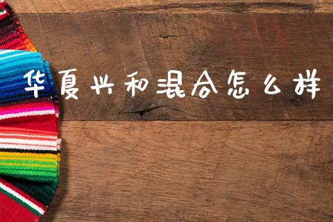华夏兴和混合怎么样_https://wap.fcdydaikuan.com_国际投资_第1张