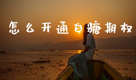怎么开通白糖期权_https://wap.fcdydaikuan.com_期货品种_第1张