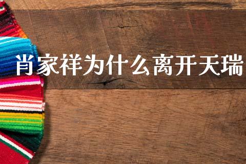 肖家祥为什么离开天瑞_https://wap.fcdydaikuan.com_金融机构_第1张