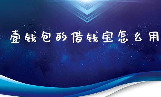 壹钱包的借钱宝怎么用_https://wap.fcdydaikuan.com_投资策略_第1张