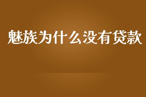 魅族为什么没有贷款_https://wap.fcdydaikuan.com_理财顾问_第1张