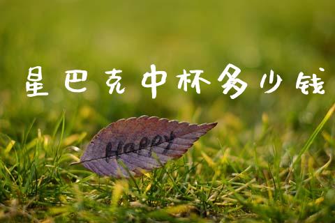 星巴克中杯多少钱_期货品种_第1张_国际投资_理财顾问_投资策略_金融机构 星巴克中杯多少钱_https://wap.fcdydaikuan.com_期货品种_第1张