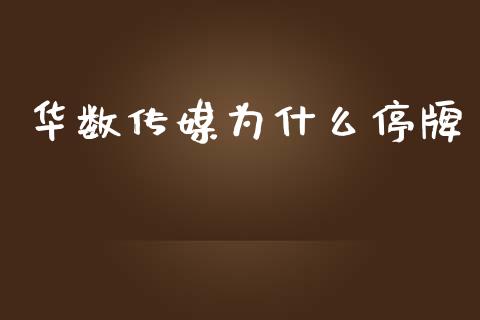 华数传媒为什么停牌_https://wap.fcdydaikuan.com_理财顾问_第1张