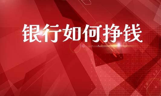银行如何挣钱_https://wap.fcdydaikuan.com_金融机构_第1张