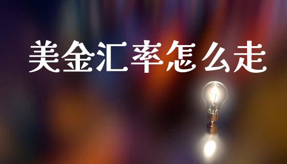 美金汇率怎么走_https://wap.fcdydaikuan.com_金融机构_第1张