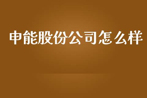 申能股份公司怎么样_https://wap.fcdydaikuan.com_期货品种_第1张