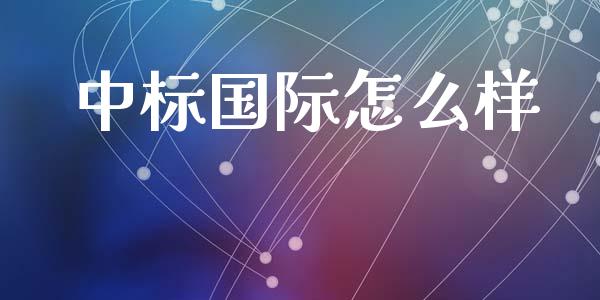 中标国际怎么样_https://wap.fcdydaikuan.com_金融机构_第1张