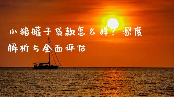 小猪罐子贷款怎么样?深度解析与全面评估_投资策略_第1张_国际投资_理财顾问_投资策略_金融机构 小猪罐子贷款怎么样?深度解析与全面评估_https://wap.fcdydaikuan.com_投资策略_第1张