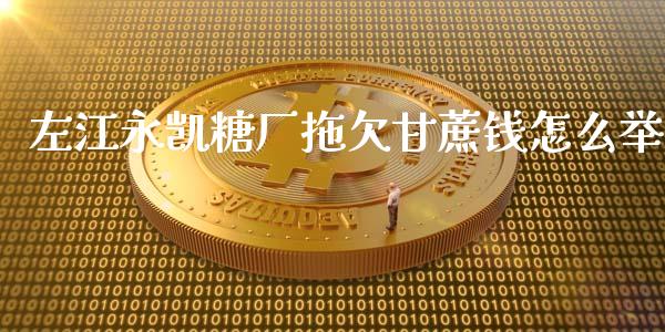 左江永凯糖厂拖欠甘蔗钱怎么举_https://wap.fcdydaikuan.com_期货品种_第1张