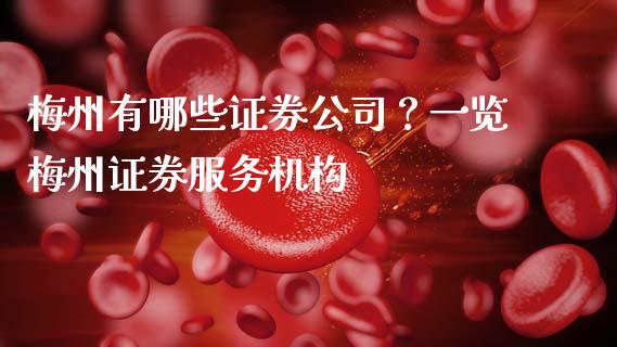 梅州有哪些证券公司？一览梅州证券服务机构_https://wap.fcdydaikuan.com_新股数据_第1张