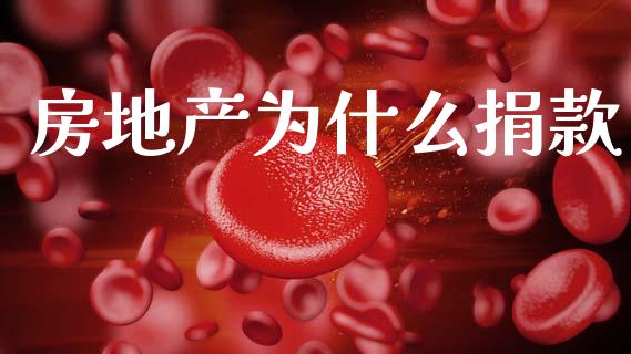 房地产为什么捐款_https://wap.fcdydaikuan.com_期货品种_第1张
