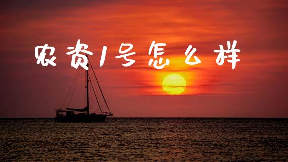 农资1号怎么样_https://wap.fcdydaikuan.com_投资策略_第1张