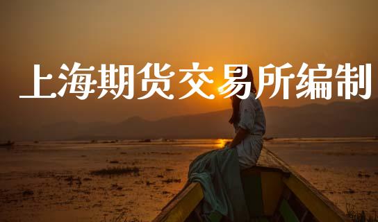 上海期货交易所编制_https://wap.fcdydaikuan.com_期货品种_第1张