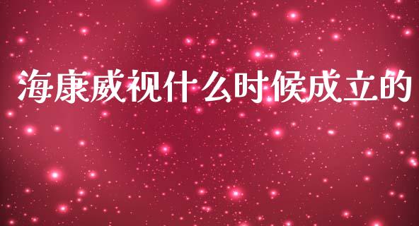 海康威视什么时候成立的_https://wap.fcdydaikuan.com_金融机构_第1张