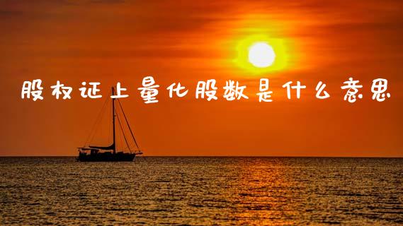 股权证上量化股数是什么意思_https://wap.fcdydaikuan.com_国际投资_第1张