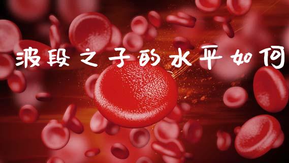 波段之子的水平如何_https://wap.fcdydaikuan.com_金融机构_第1张