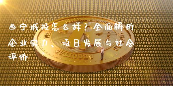 西宁城投怎么样？全面解析企业实力、项目发展与社会评价_https://wap.fcdydaikuan.com_国际投资_第1张