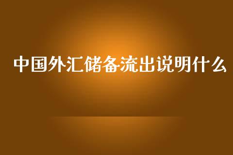 中国外汇储备流出说明什么_https://wap.fcdydaikuan.com_国际投资_第1张