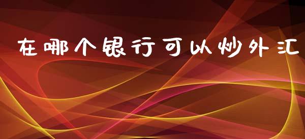 在哪个银行可以炒外汇_https://wap.fcdydaikuan.com_理财顾问_第1张