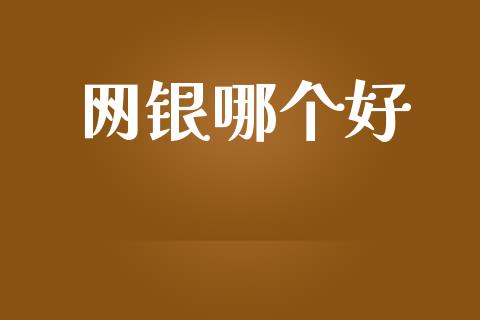 网银哪个好_https://wap.fcdydaikuan.com_投资策略_第1张