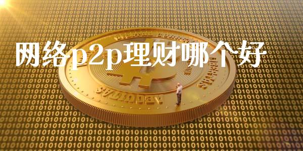 网络p2p理财哪个好_https://wap.fcdydaikuan.com_理财顾问_第1张