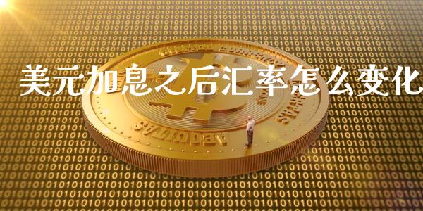 美元加息之后汇率怎么变化_https://wap.fcdydaikuan.com_金融机构_第1张