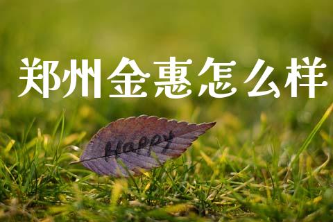郑州金惠怎么样_https://wap.fcdydaikuan.com_期货品种_第1张